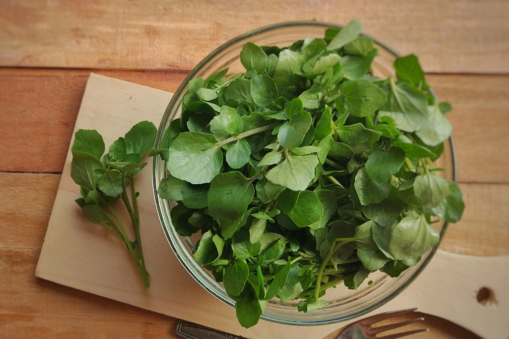4 Kitchen Ingredients That Curb the Signs of Aging