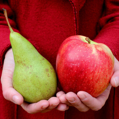 6 Healthy On-the-go Snacks for Toddlers