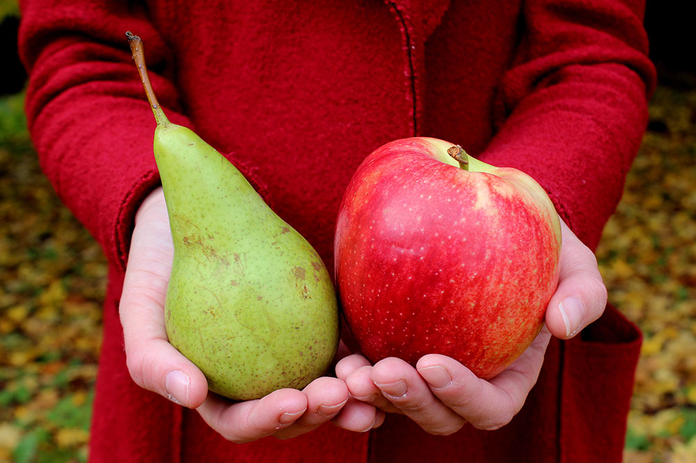 6 Healthy On-the-go Snacks for Toddlers