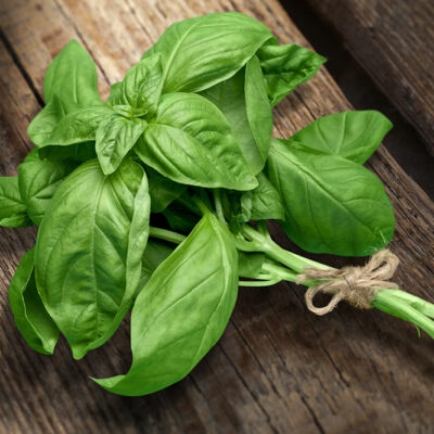 8 Herbal Remedies for Migraine