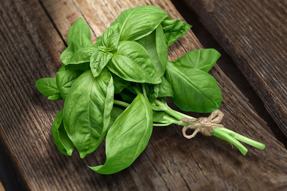 8 Herbal Remedies for Migraine
